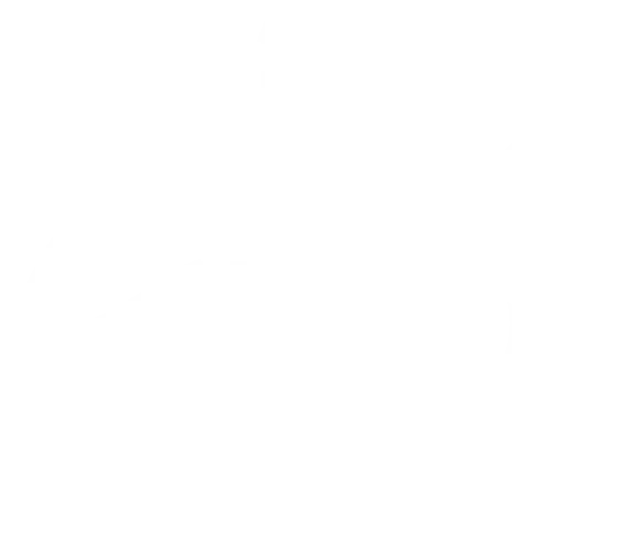 HobbyDetective